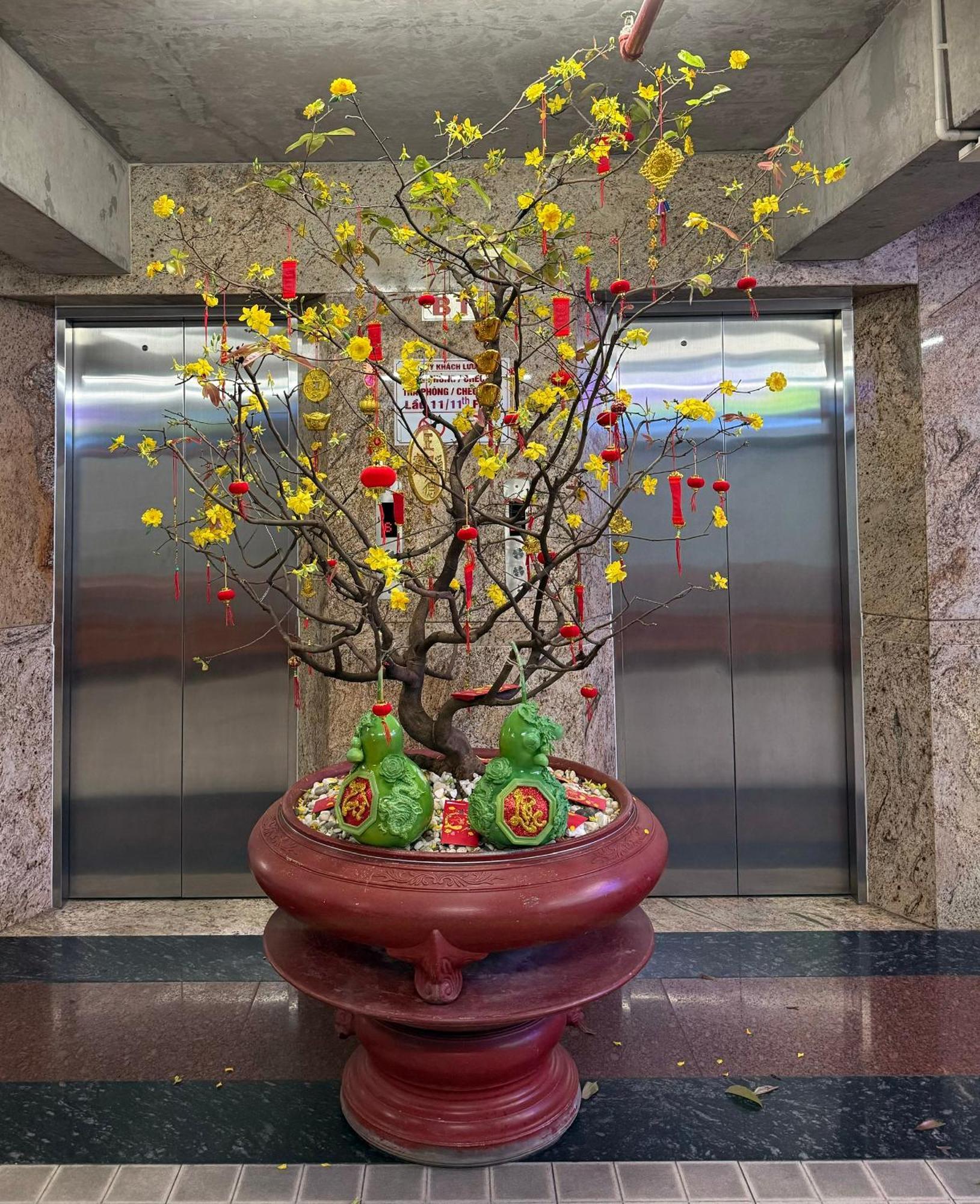 Thien Tai Hotel Хошимін Екстер'єр фото
